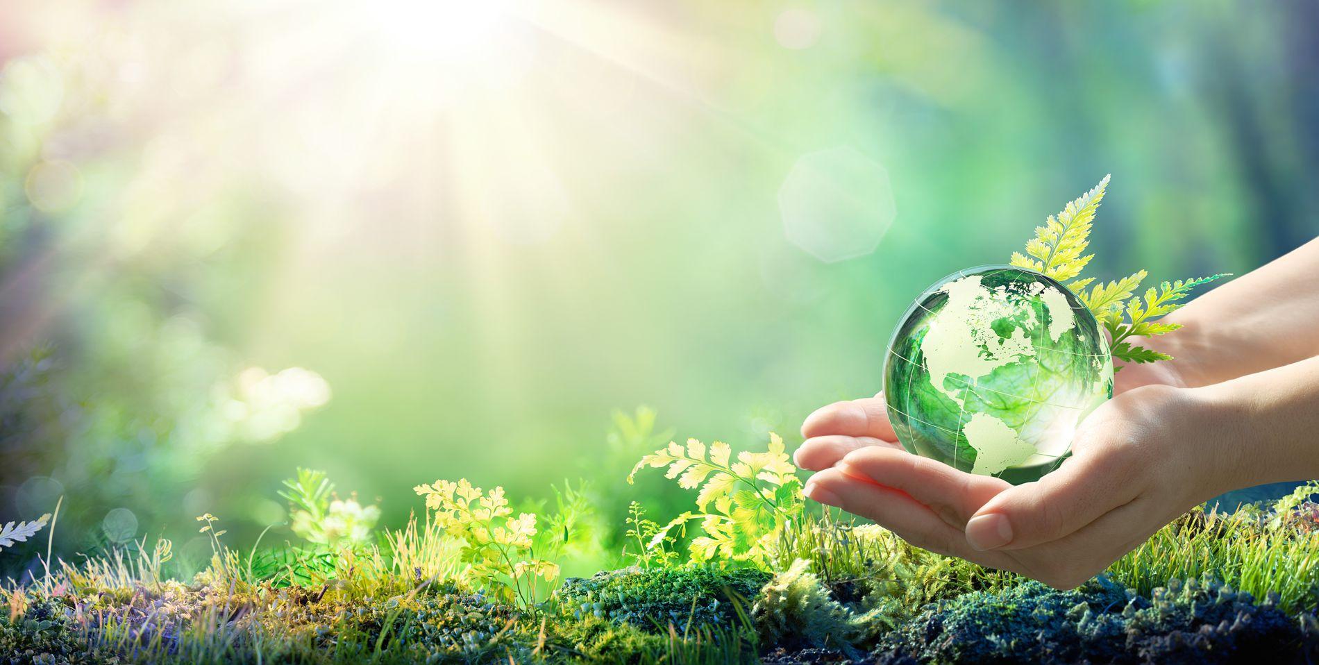 Hands Holding Globe Glass In Green Forest - Environment Concept
